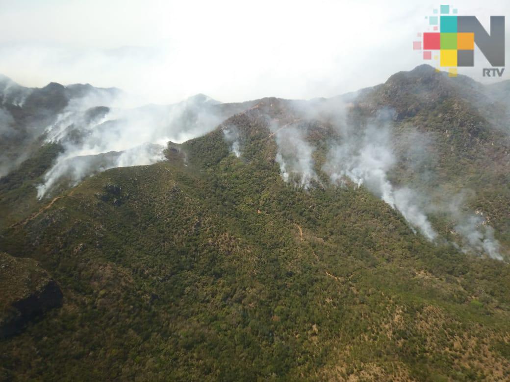 Sin reporte de lesionados ni riesgo para la población, por incendio en paraje de Alto Lucero: PC