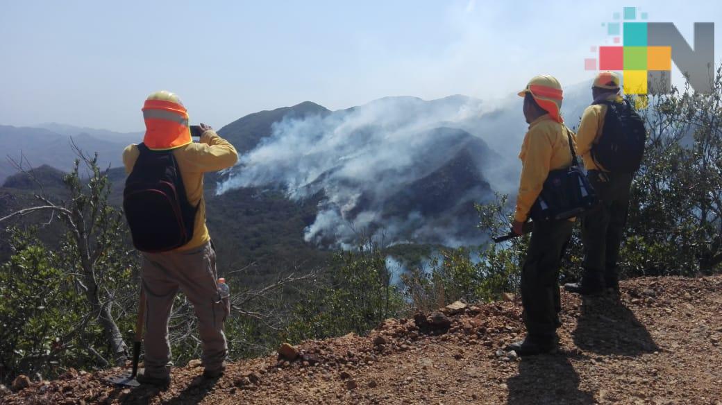 Reporta PC 85% de control y 55% de liquidación en incendio de Alto Lucero
