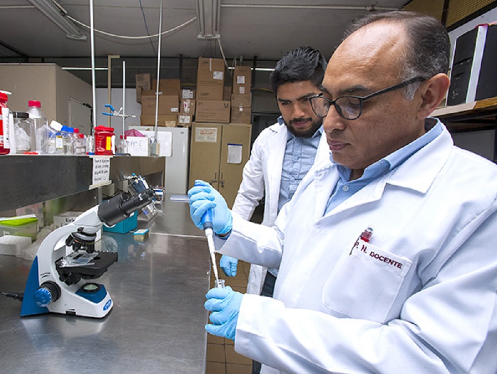 Investiga IPN origen de la preeclampsia, principal causa de muerte materna en México