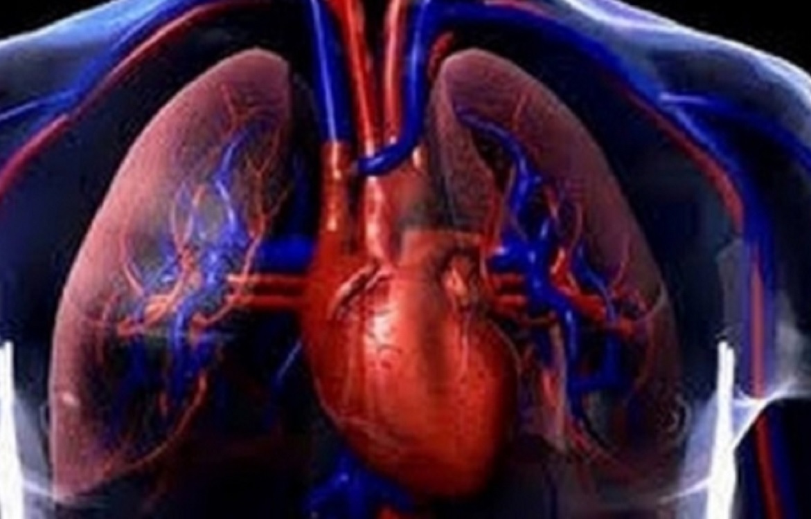 Investigan uso de azúcar para tratar enfermedades respiratorias