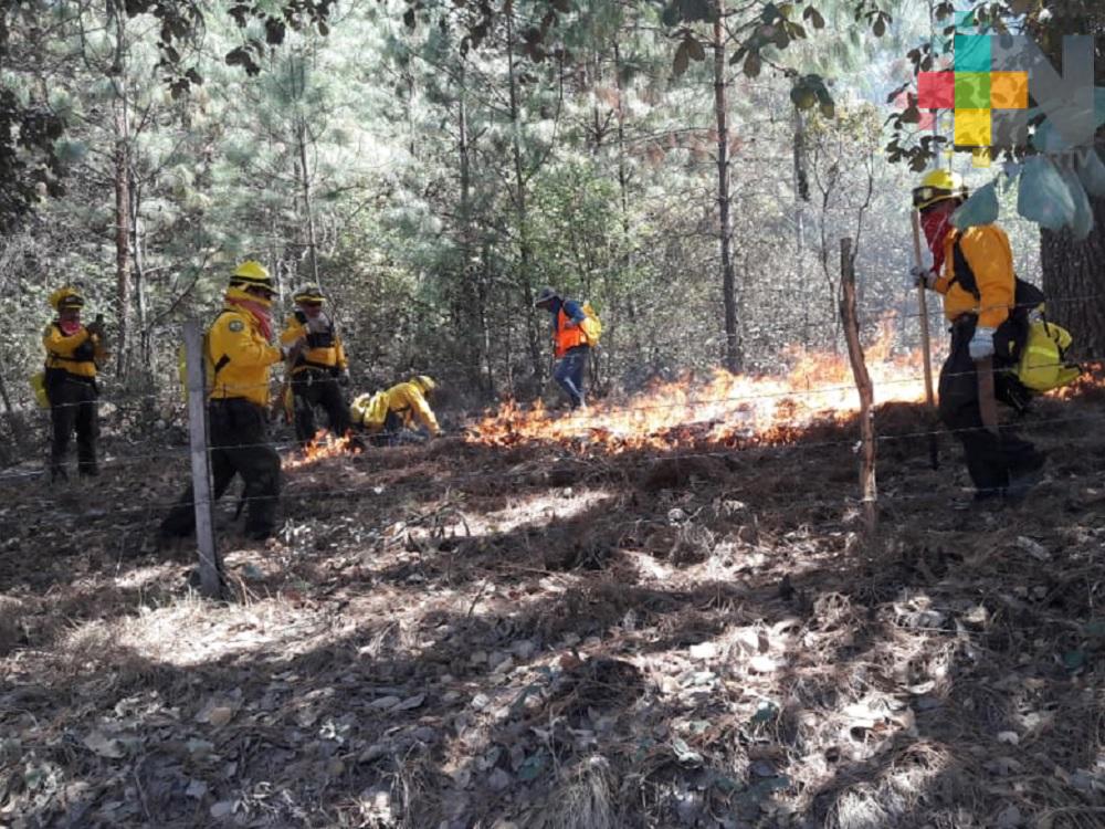 Línea negra, actividad para evitar incendios forestales en Palo Bendito, municipio de Huayacocotla