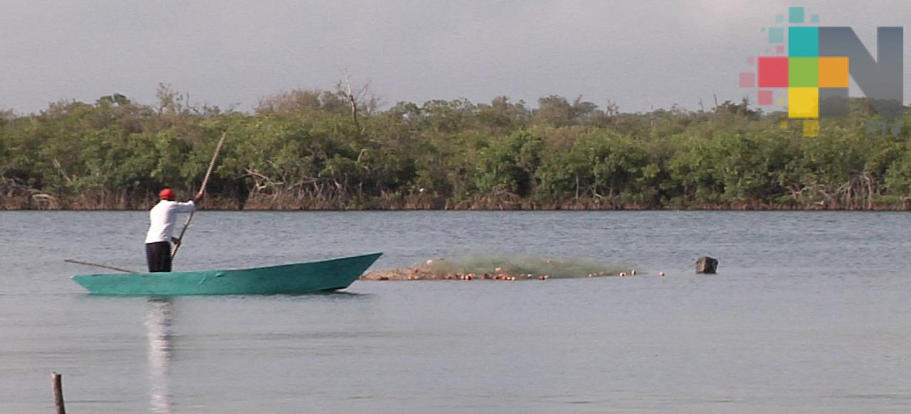 Aumenta demanda de productos a pescadores por Semana Santa