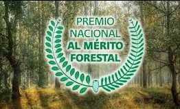 Premio Nacional al Mérito Forestal 2019 contará con diez categorías de premiación