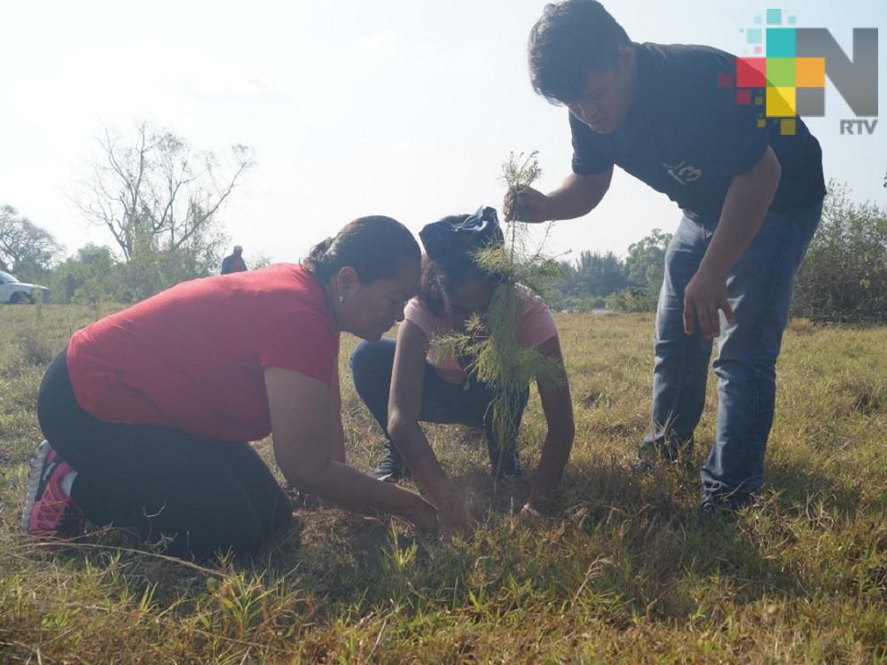 Consejo Turístico de la Huasteca, pone en marcha programa de reforestación en Tuxpan