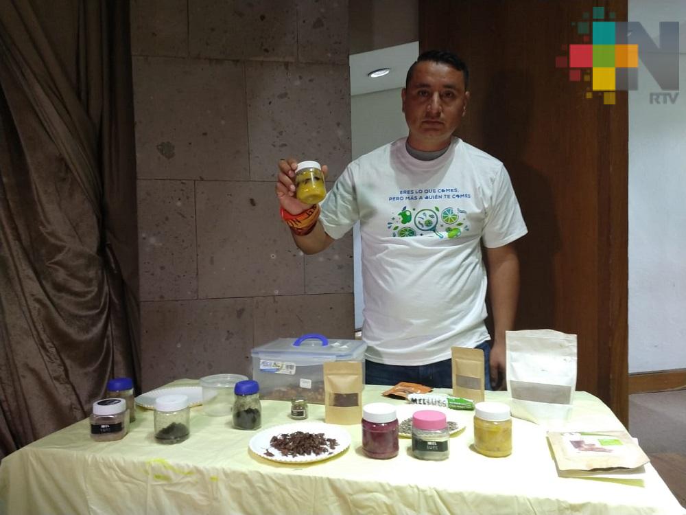 Chapulines, hormigas y cucarachas comestibles presentes en “Sábados en la Ciencia”