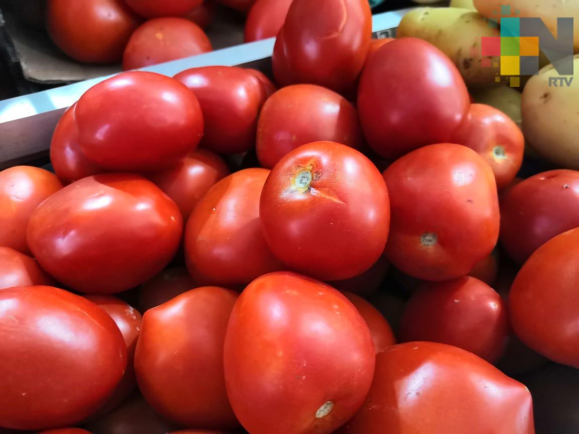 Sube hasta 30 por ciento precio de exportaciones de tomate