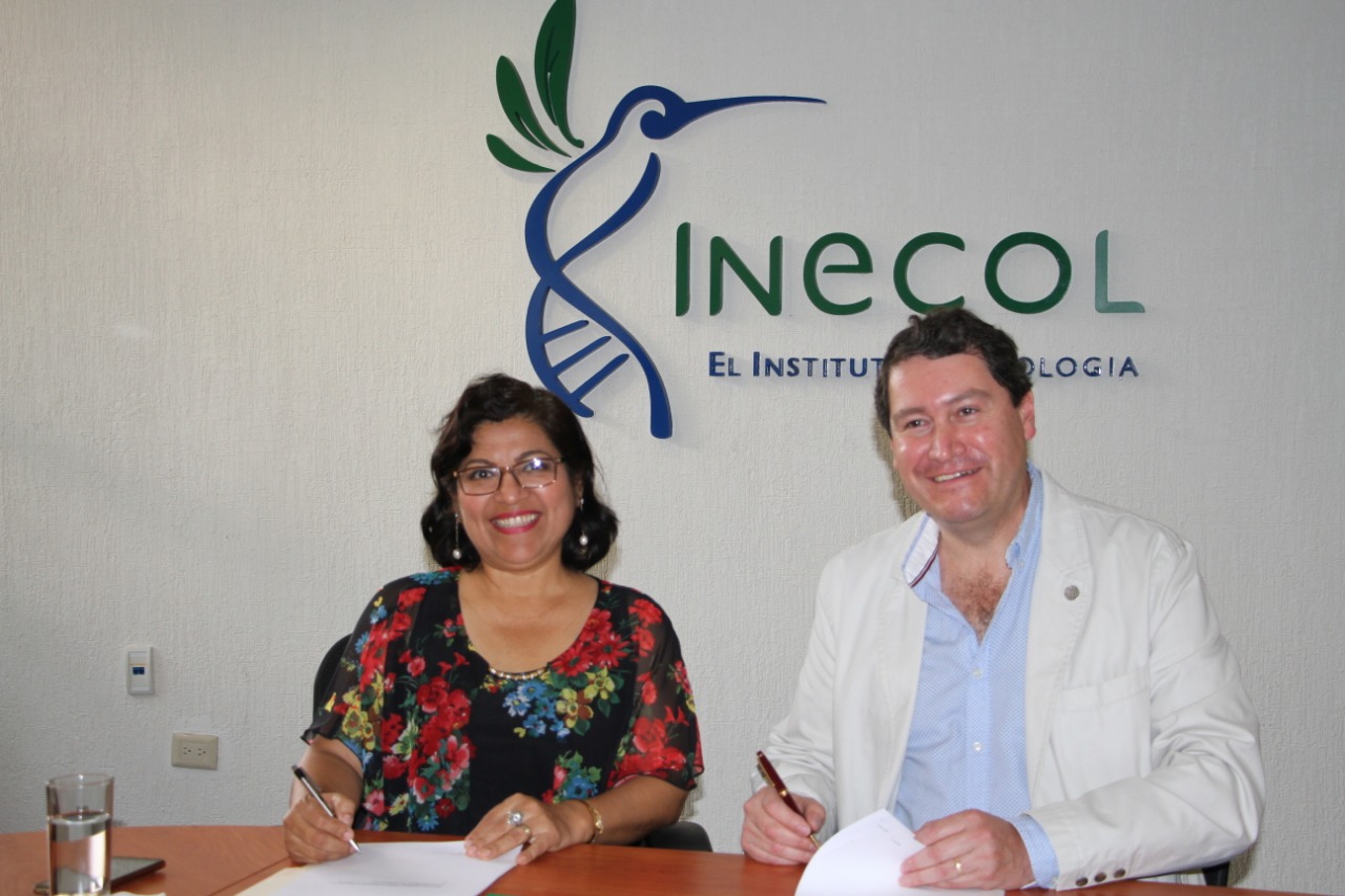 Firman Sedema e Inecol convenio de colaboración 2019-2024