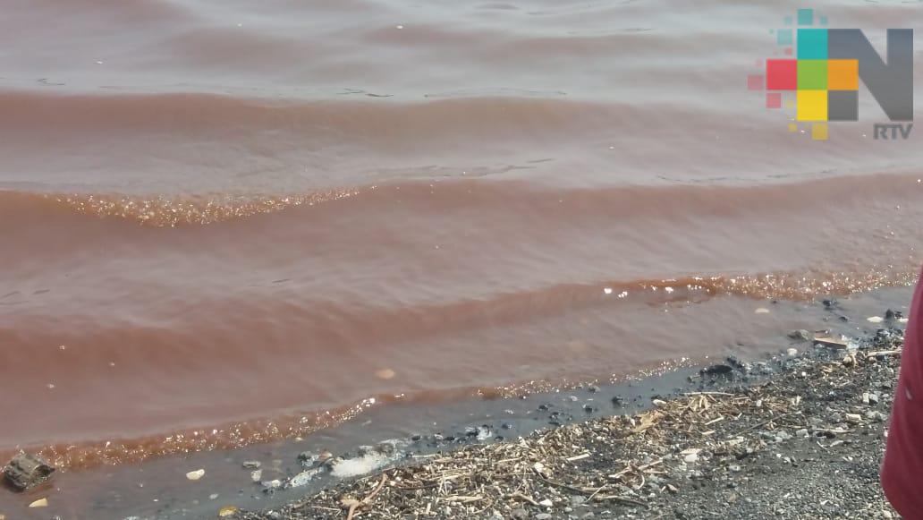 Microalgas causantes de tono rojizo en laguna de San Julián