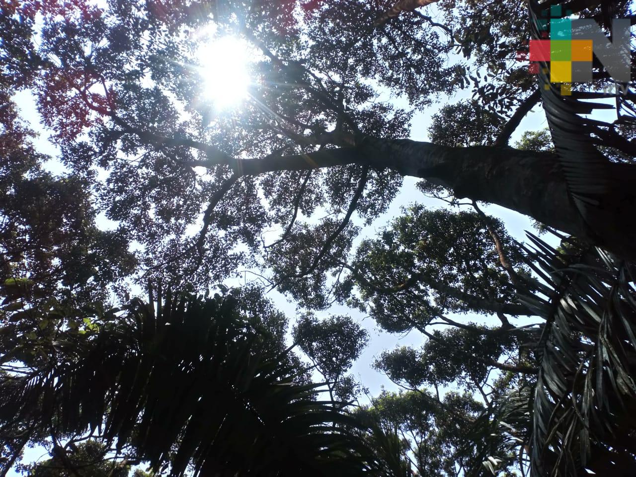 Parque Jaguaroundi la opción para convivir en familia