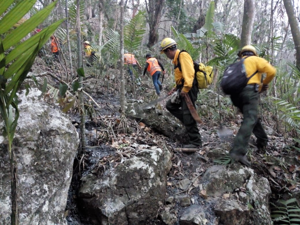 Incendio forestal en San Andrés Tenejapa controlado al 100 por ciento; en Palma Sola al 90 por ciento