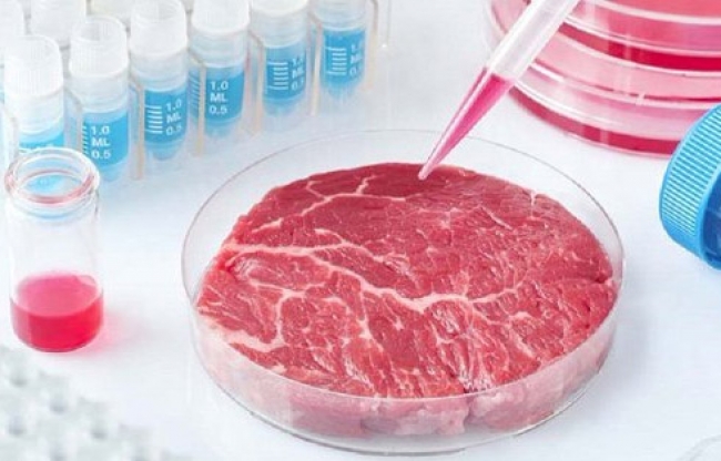 Carne cultivada «in vitro» sería opción alimentaria en el futuro