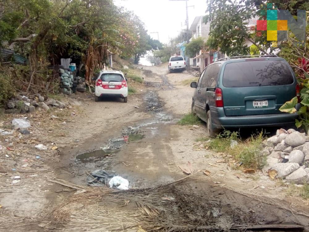 Vecinos de colonia Acosta Lagunes piden a las autoridades reparen calle