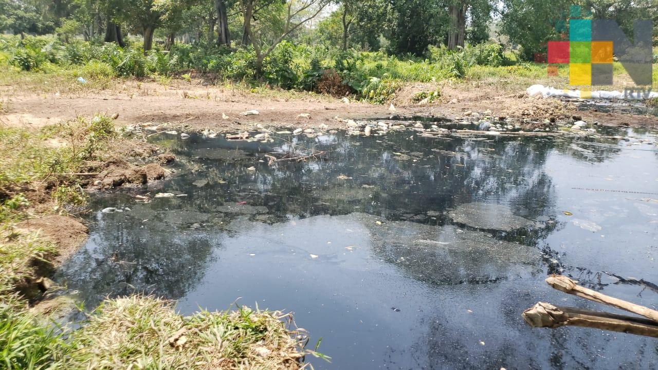 Denuncian a vecina por tapar canal de aguas negras en el municipio de Moloacán