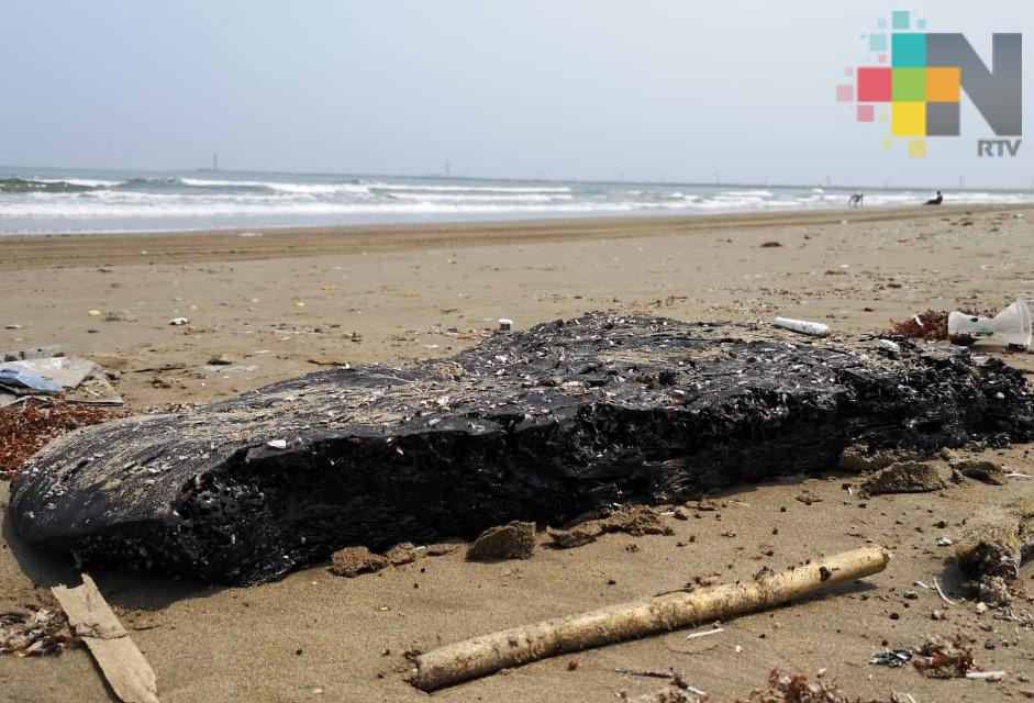 Aparecen residuos de hidrocarburo en playa de Coatzacoalcos