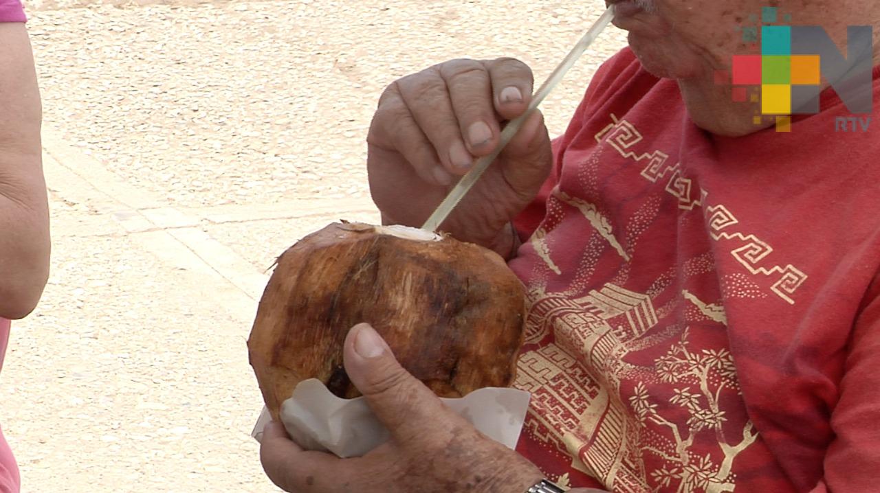 Cocos, opción para refrescarse en Coatzacoalcos