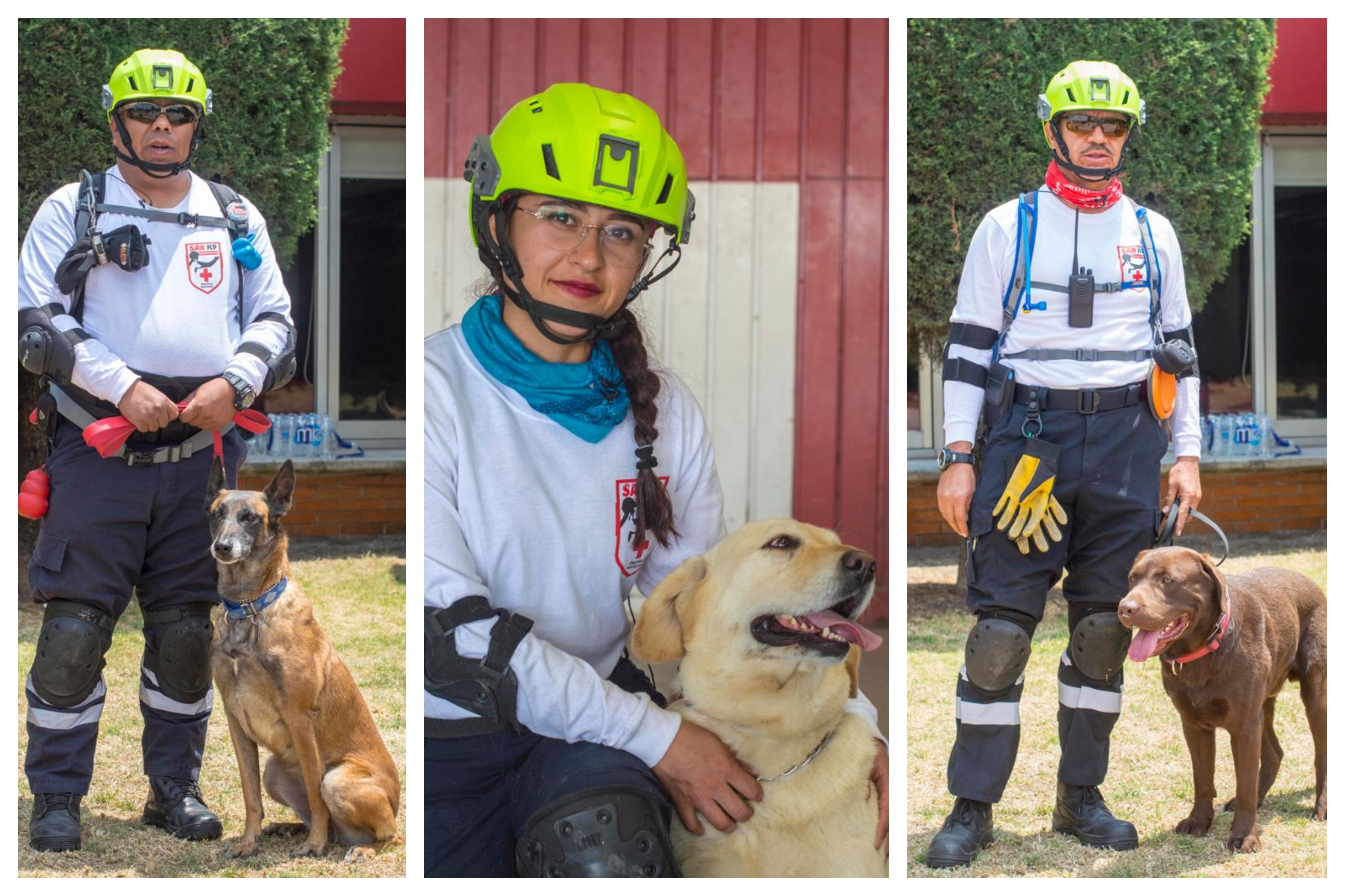 Cruz Roja fortalecerá unidad de binomios caninos para el rescate de personas