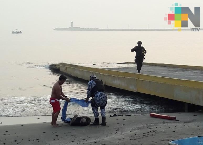 Hallan persona ahogada a la altura del Club de Yates de Veracruz