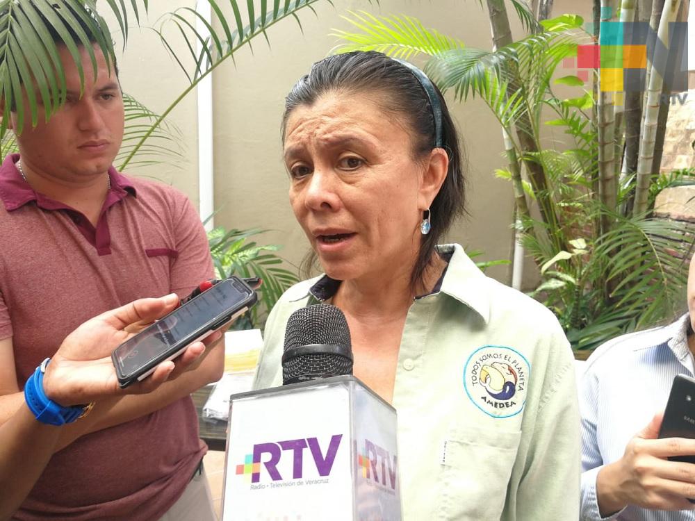 Ley de Protección Animal en Coatzacoalcos es letra muerta: Amedea