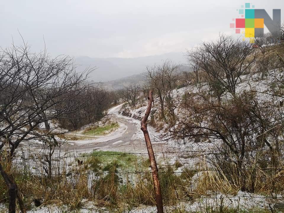 Granizada y viento afectaron municipios en la zona centro del estado
