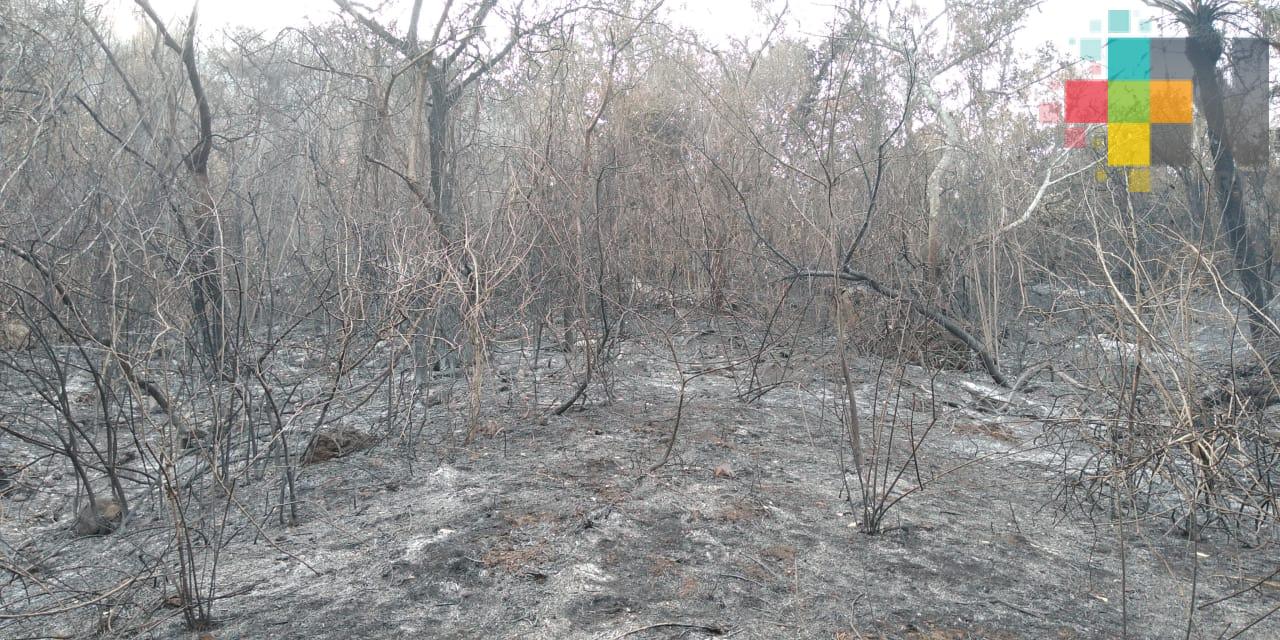 915 hectáreas afectadas por incendio en Alto Lucero