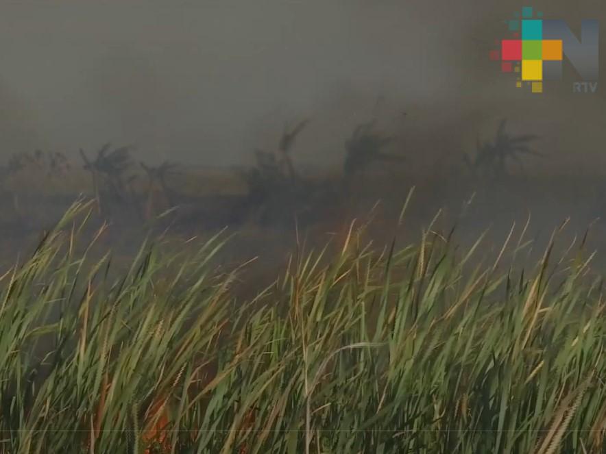 Alrededor de 260 hectáreas siniestradas por incendios en Acutzingo