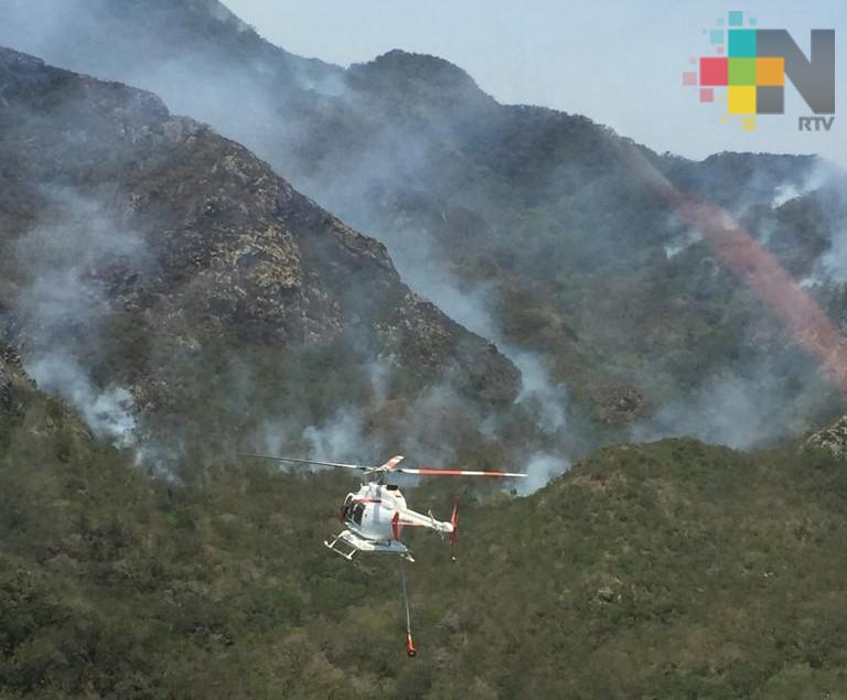 Siguen activos los incendios de los municipios de Alto Lucero y San Andrés Tenejapan