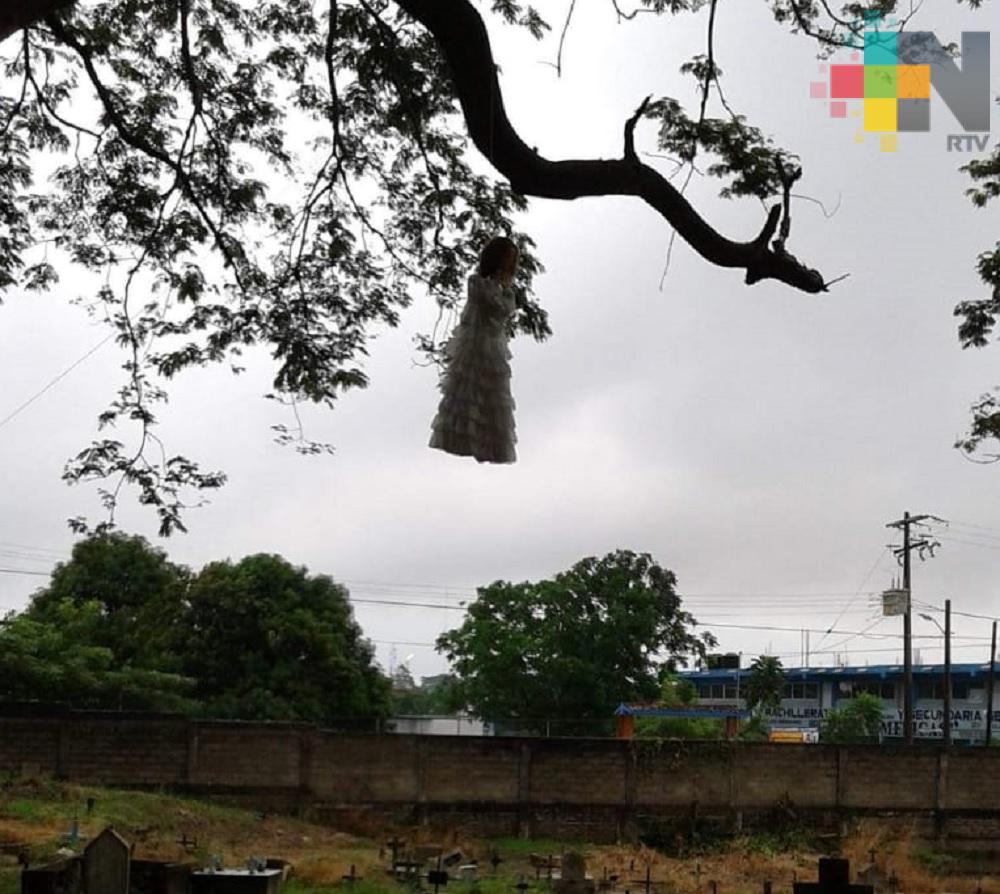 Un árbol de 100 años resguarda una de las leyendas más contadas en Minatitlán