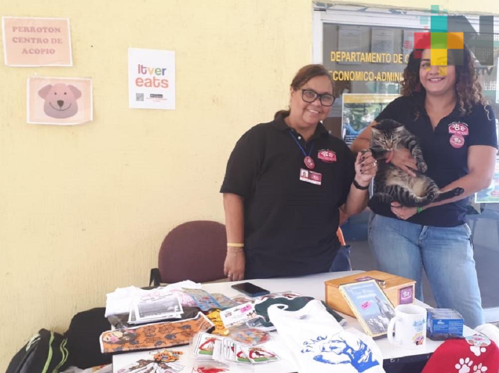 Abandono de mascotas continúa en todo el país: Grupo Pro Mejora Animal