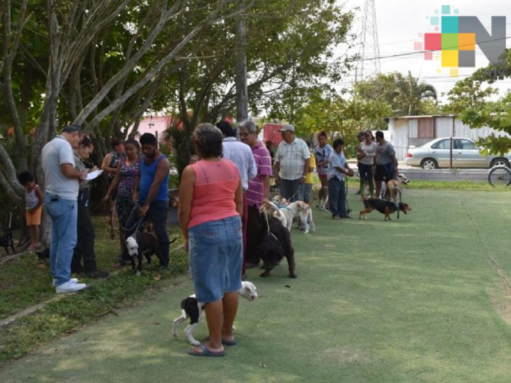 Ayuntamiento de Coatzacoalcos pondrá en marcha programa de esterilización de mascotas