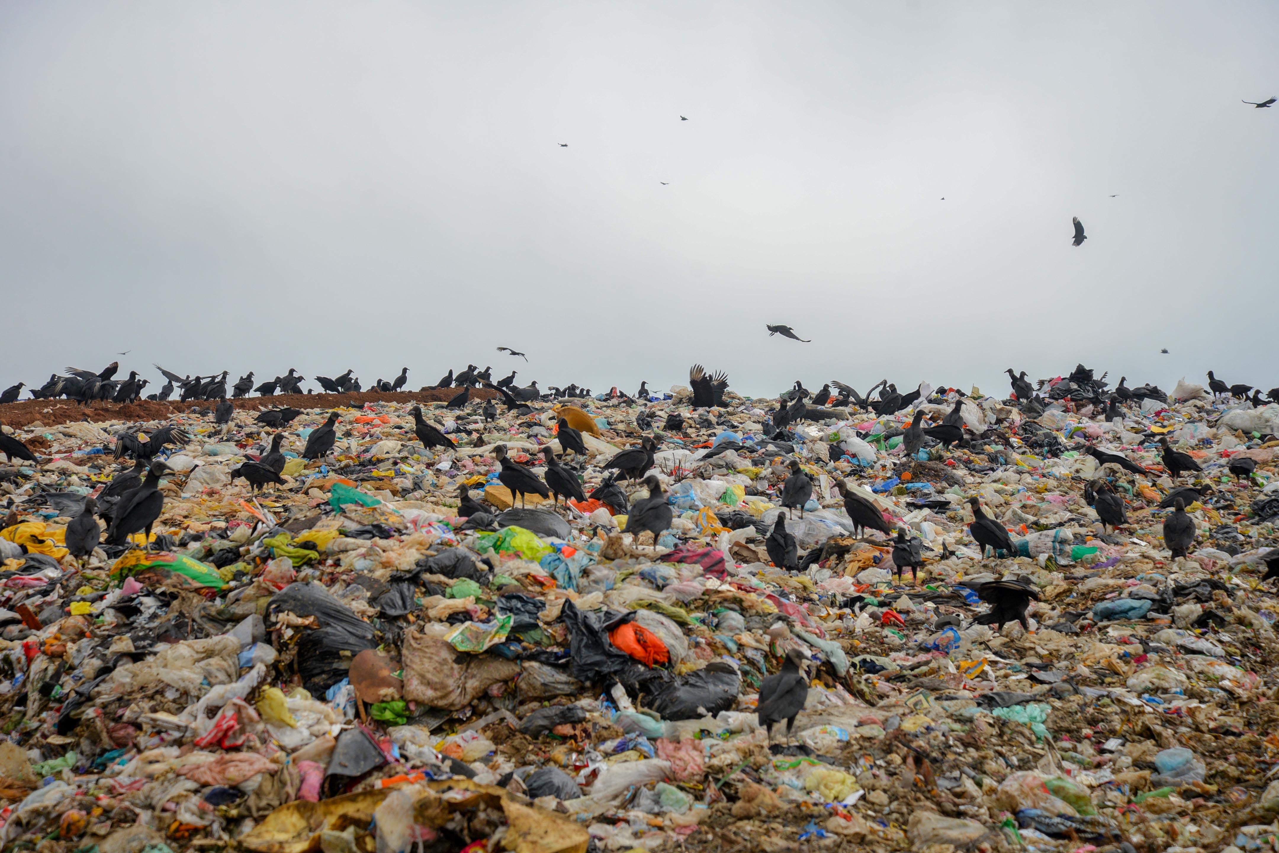Sin correcta disposición final de residuos sólidos en más de la mitad de municipios de Veracruz