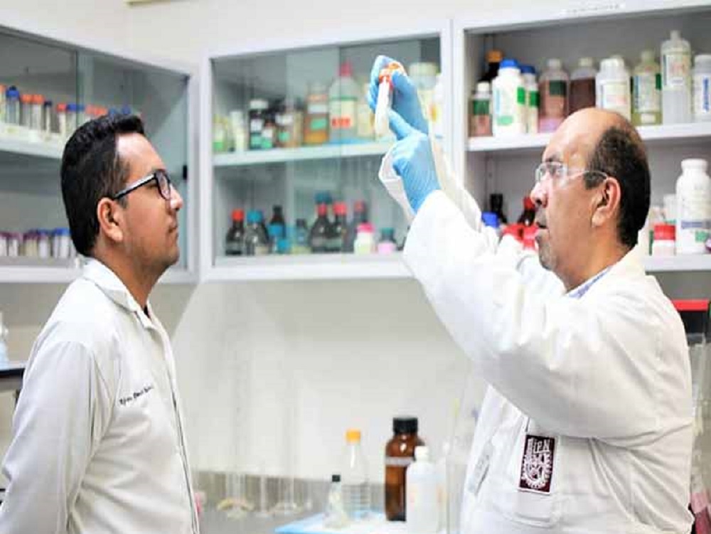 Crea IPN bioinsecticida capaz de detener al mosco transmisor de dengue, chikungunya y zika