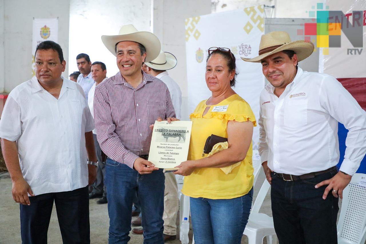 Con el fin de elevar producción, el Gobernador entrega “Crédito Ganadero a la Palabra”