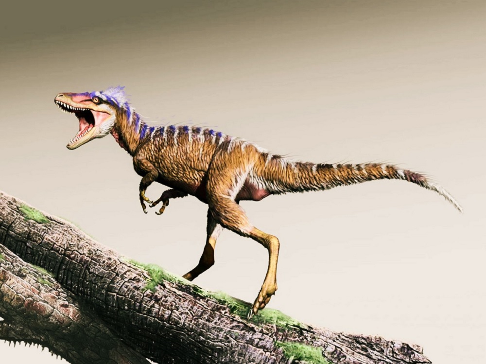 Descubren diminuto dinosaurio pariente del Tyranosaurio Rex