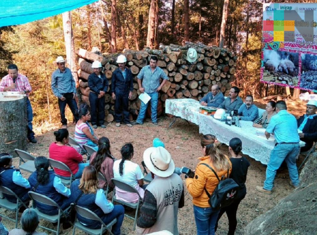 Ejido Tenantitlán, en Huayacocotla, duplicará su producción de carbón vegetal al año
