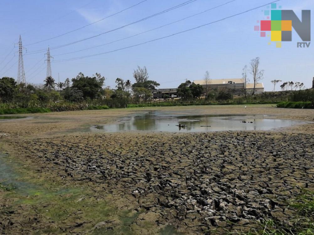 Altas temperaturas y estiaje secan laguna de Nanchital