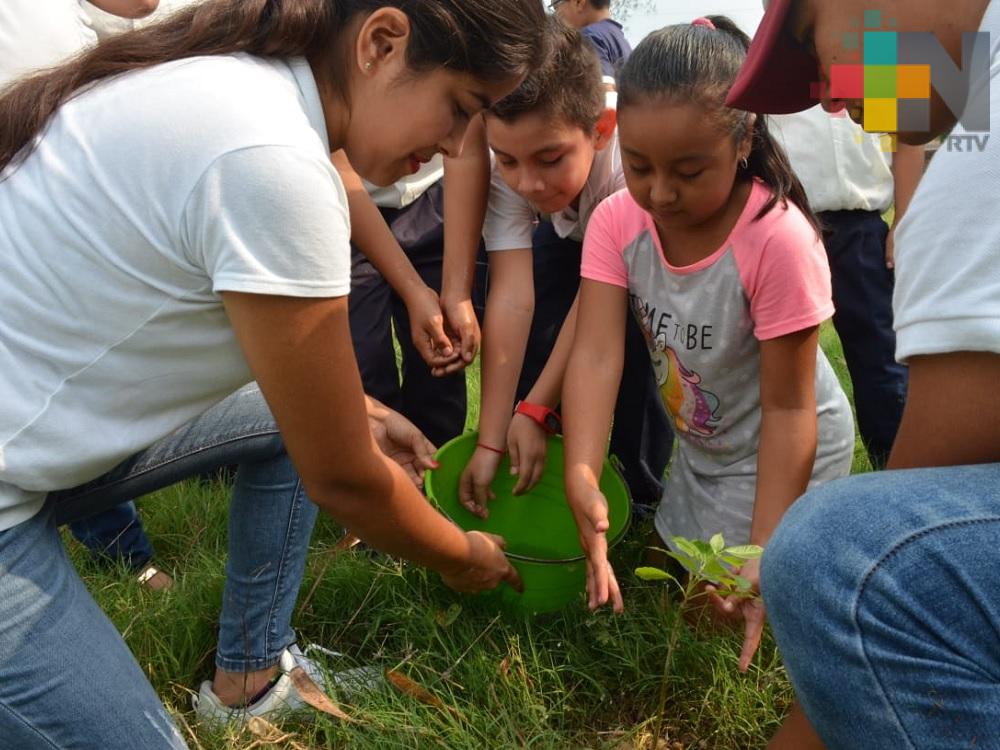 Fomentan reforestación en la zona de la Huasteca