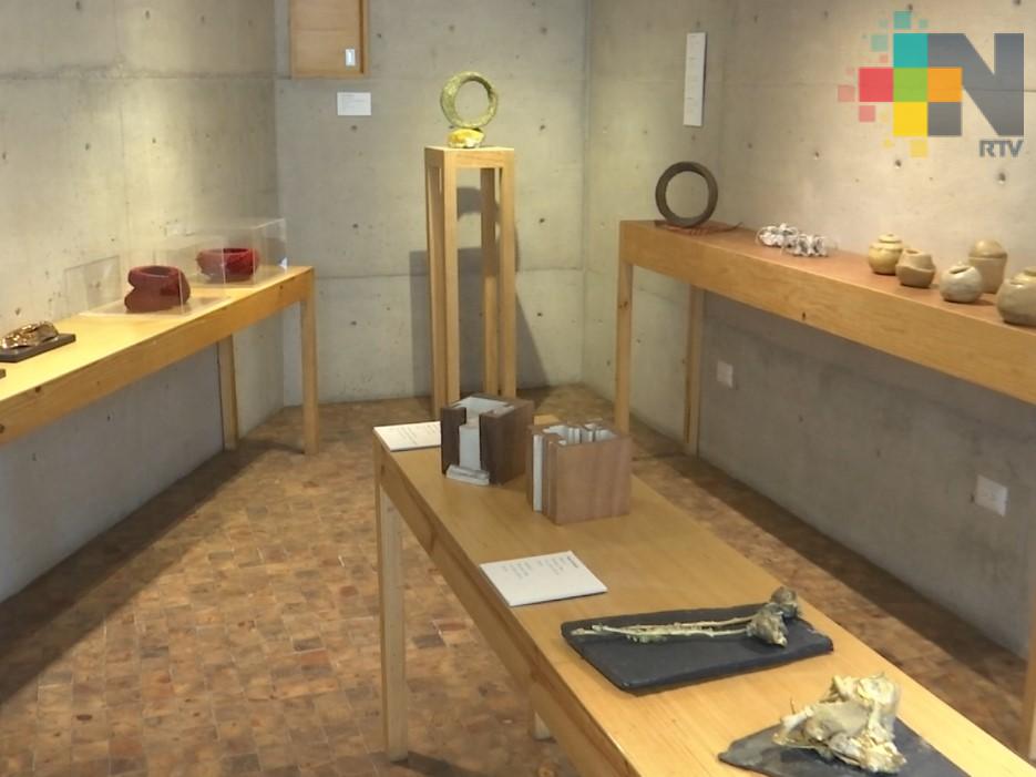 Diferentes exposiciones presenta la Galería Flavia de Xalapa