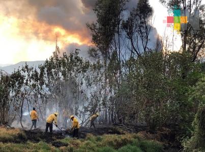 Viernes de incendios en la Ciudad de México, suman cinco