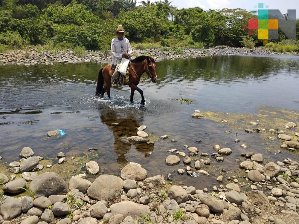 Sequía provoca severas afectaciones a ríos que abastecen a presa Yuribia