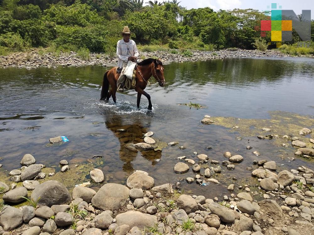 Sequía provoca severas afectaciones a ríos que abastecen a presa Yuribia