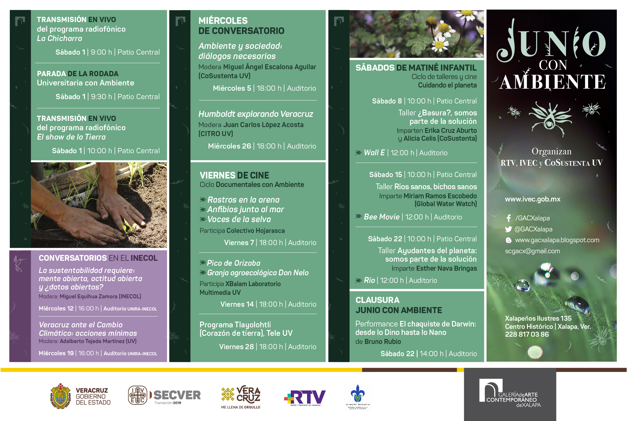 Llega junio con Ambiente al IVEC