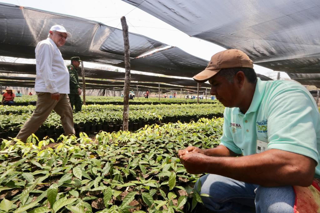 Recorre López Obrador vivero del Ejército en Tabasco