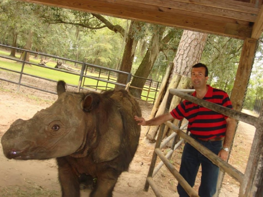 Muere «Tam», último rinoceronte macho de Sumatra