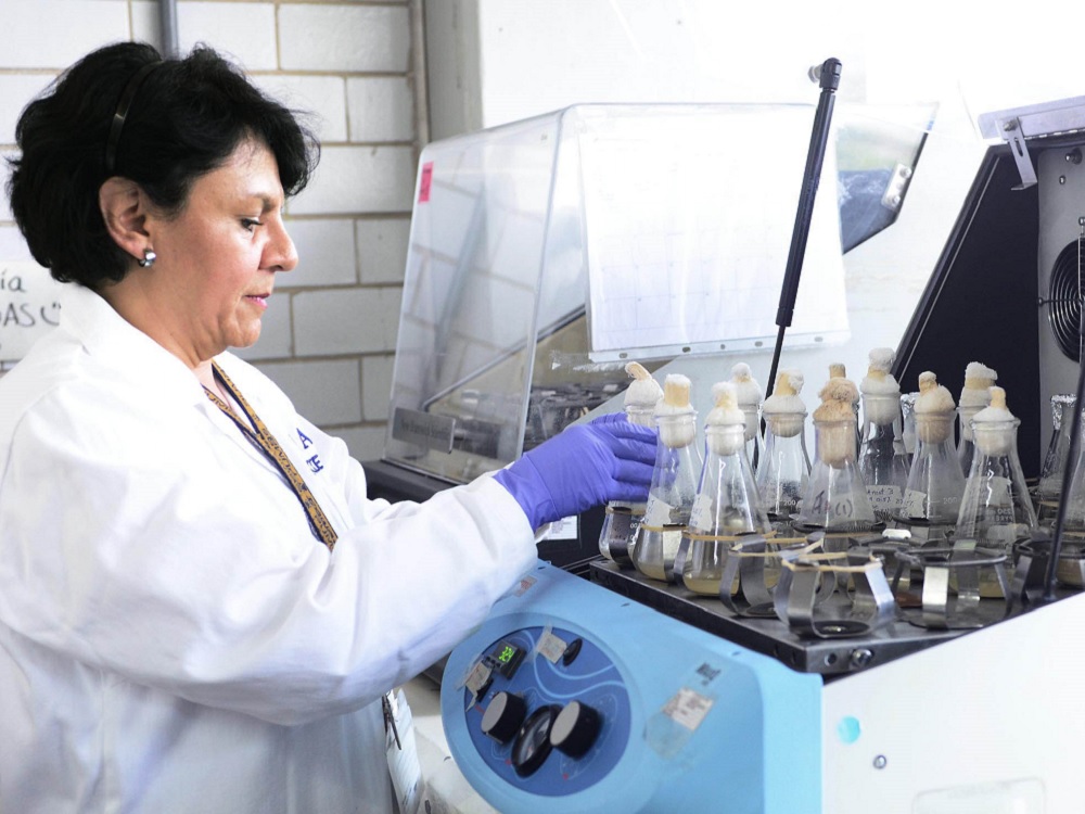 Patenta UNAM proteínas contra bacteria de alta mortalidad, causante de listeriosis