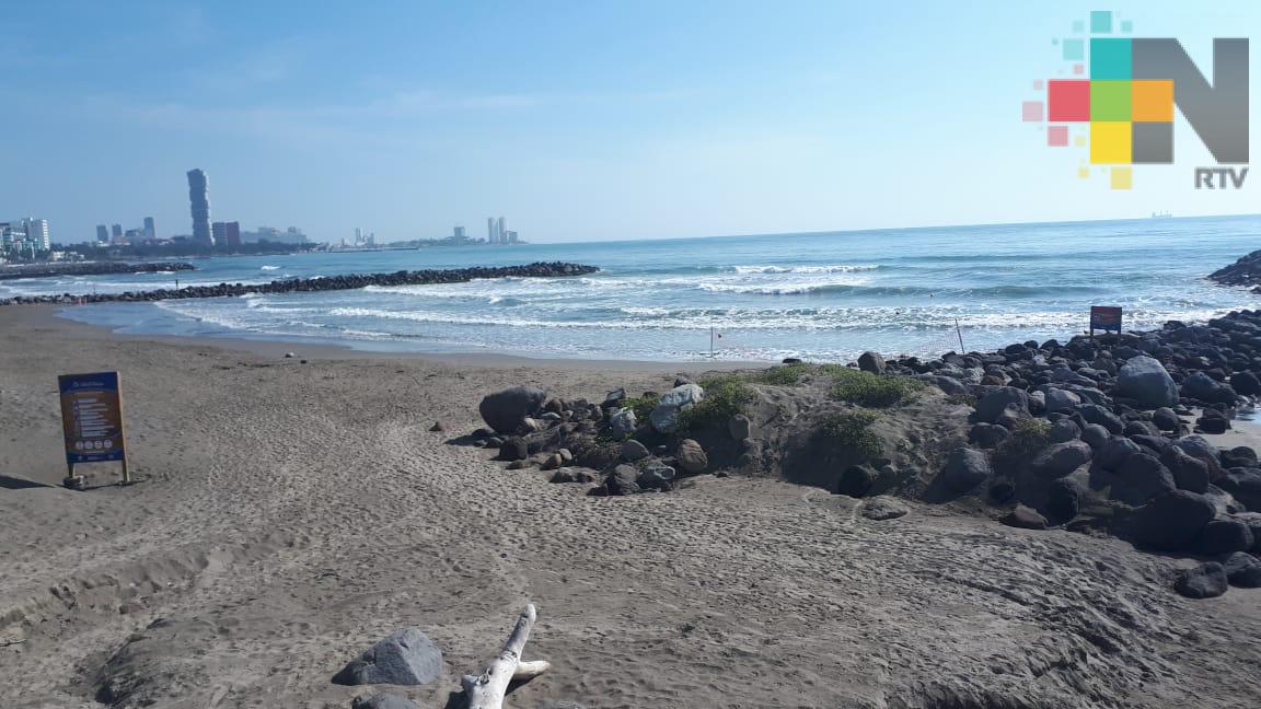 Playas de Veracruz-Boca del Río podrían alcanzar la certificación de libre de humo de tabaco