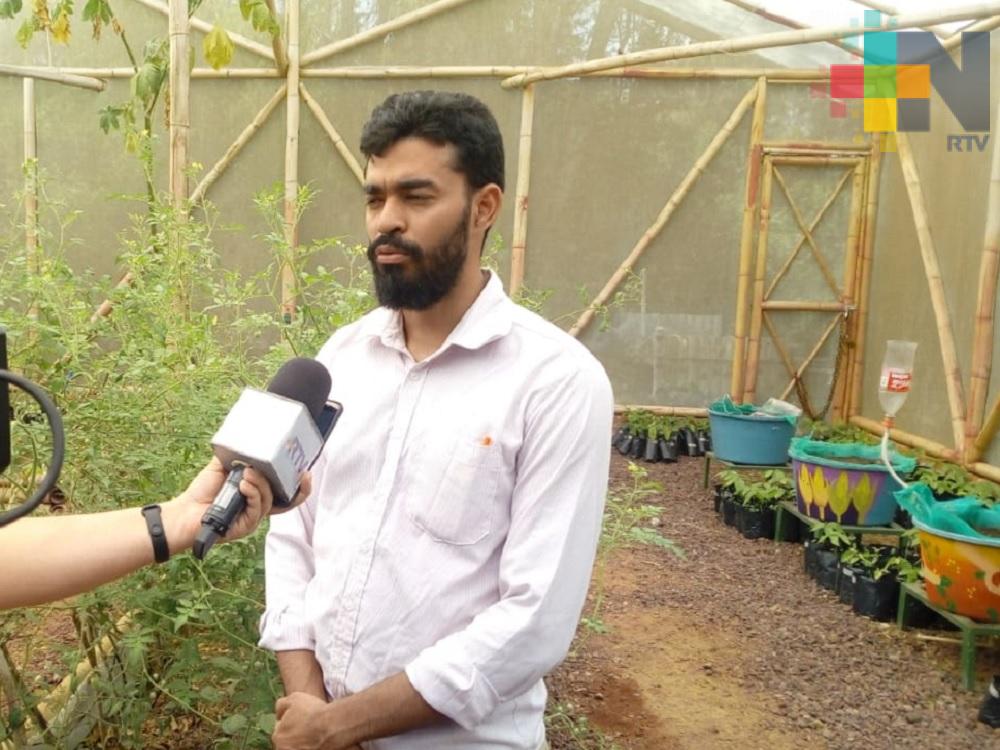 Red de Huertos Universitarios UV, espacio de encuentro y formación de comunidades humanas solidarias