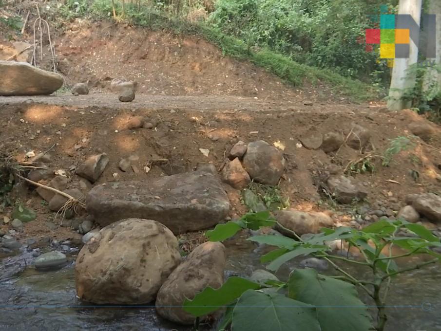 Vecinos de La Pitaya denuncian destrucción de área natural