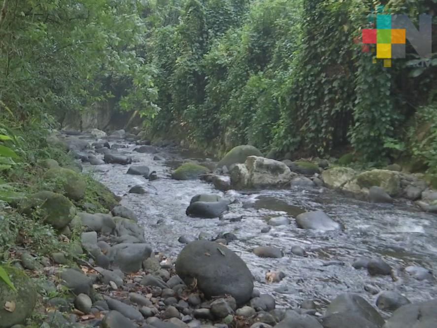 Revisarán si CMAS Xalapa afectó al afluente del río Pixquiac