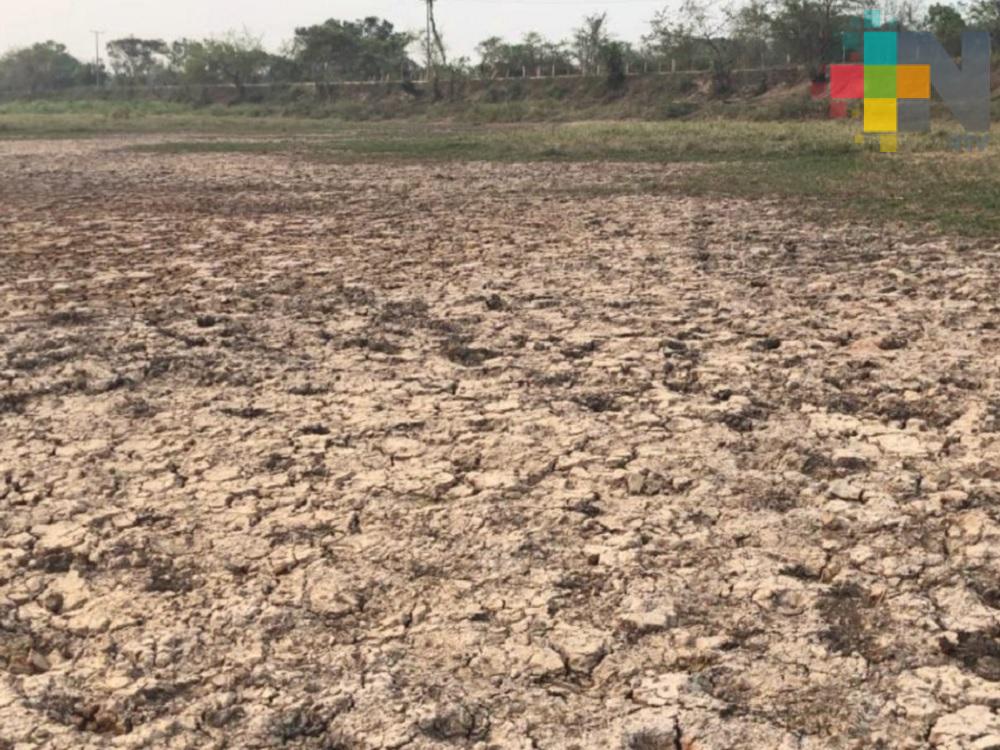 Continúa déficit de lluvias en municipios del norte de Veracruz