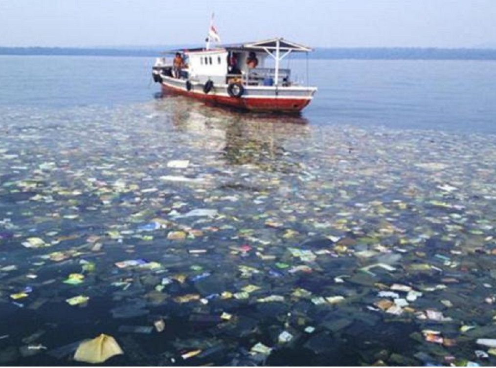 Un millón de especies en peligro de extinción por 300 toneladas de contaminantes